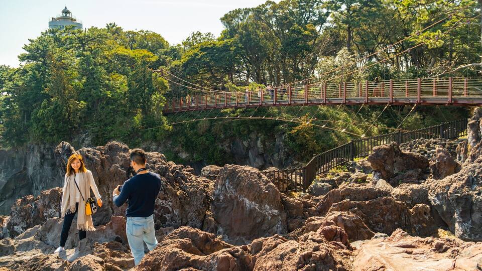 Jogasaki Suspension Bridge which includes rugged coastline and a bridge as well as a couple