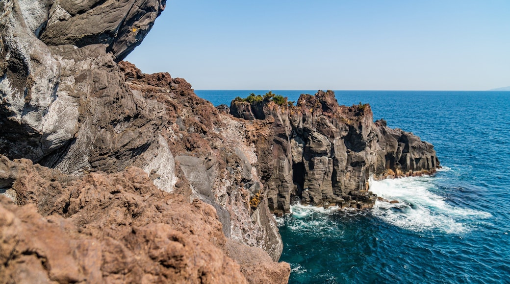 Jogasaki Suspension Bridge featuring rocky coastline and general coastal views