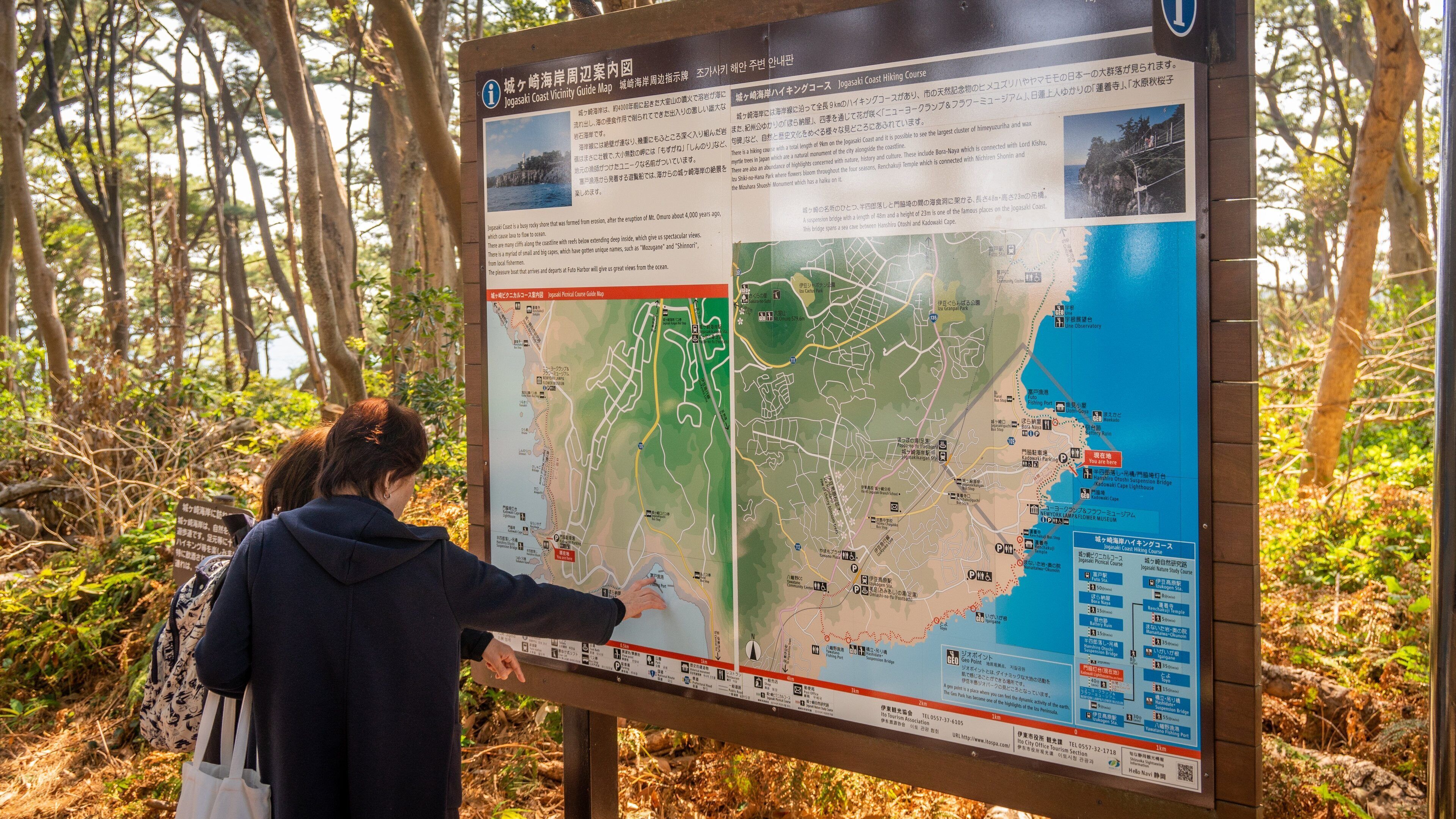 Jogasaki Coast Tours - Book Now | Expedia