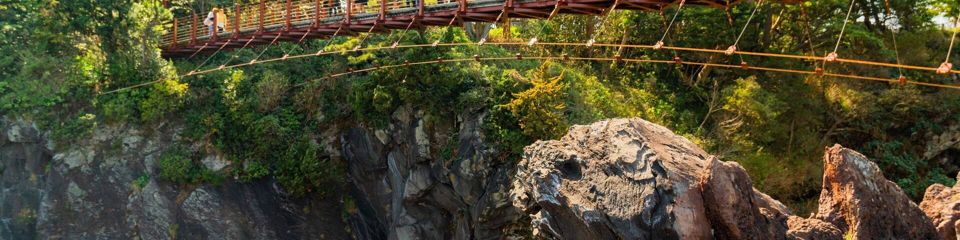 Jogasaki Suspension Bridge featuring rugged coastline and a bridge as well as a small group of people