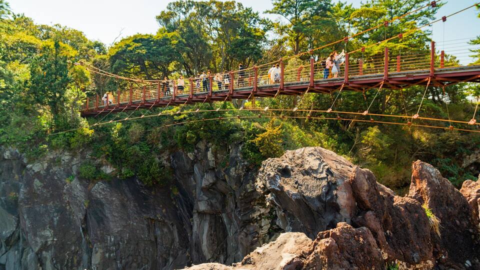 Jogasaki Suspension Bridge featuring rugged coastline and a bridge as well as a small group of people