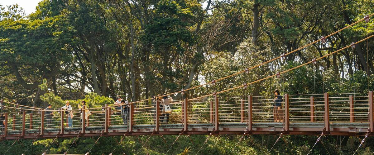 Jogasaki Suspension Bridge showing a bridge as well as a small group of people