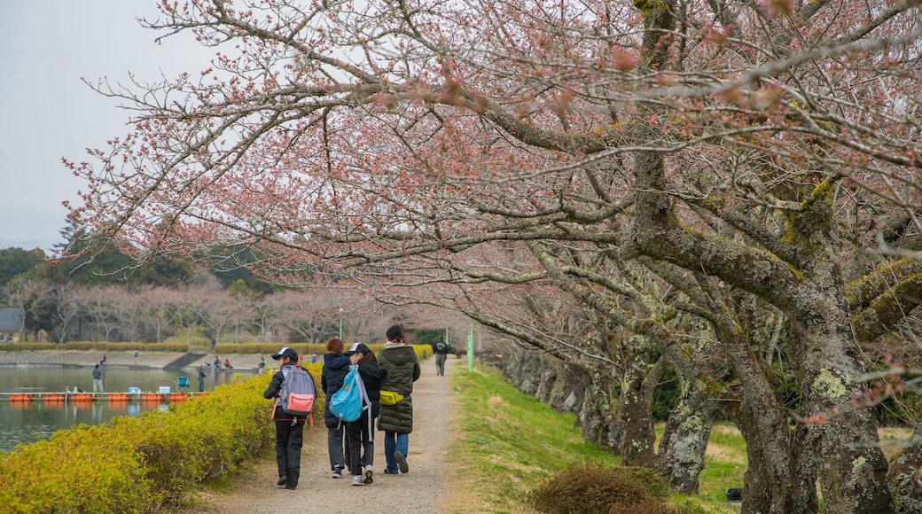 Lake Higashiyama showing a garden as well as a small group of people