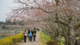 Lake Higashiyama showing a garden as well as a small group of people