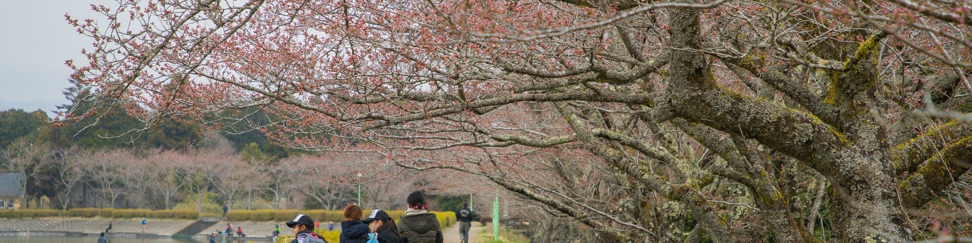 Lake Higashiyama showing a garden as well as a small group of people