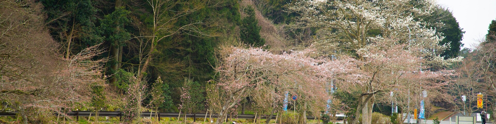 Lake Higashiyama showing a lake or waterhole as well as a small group of people