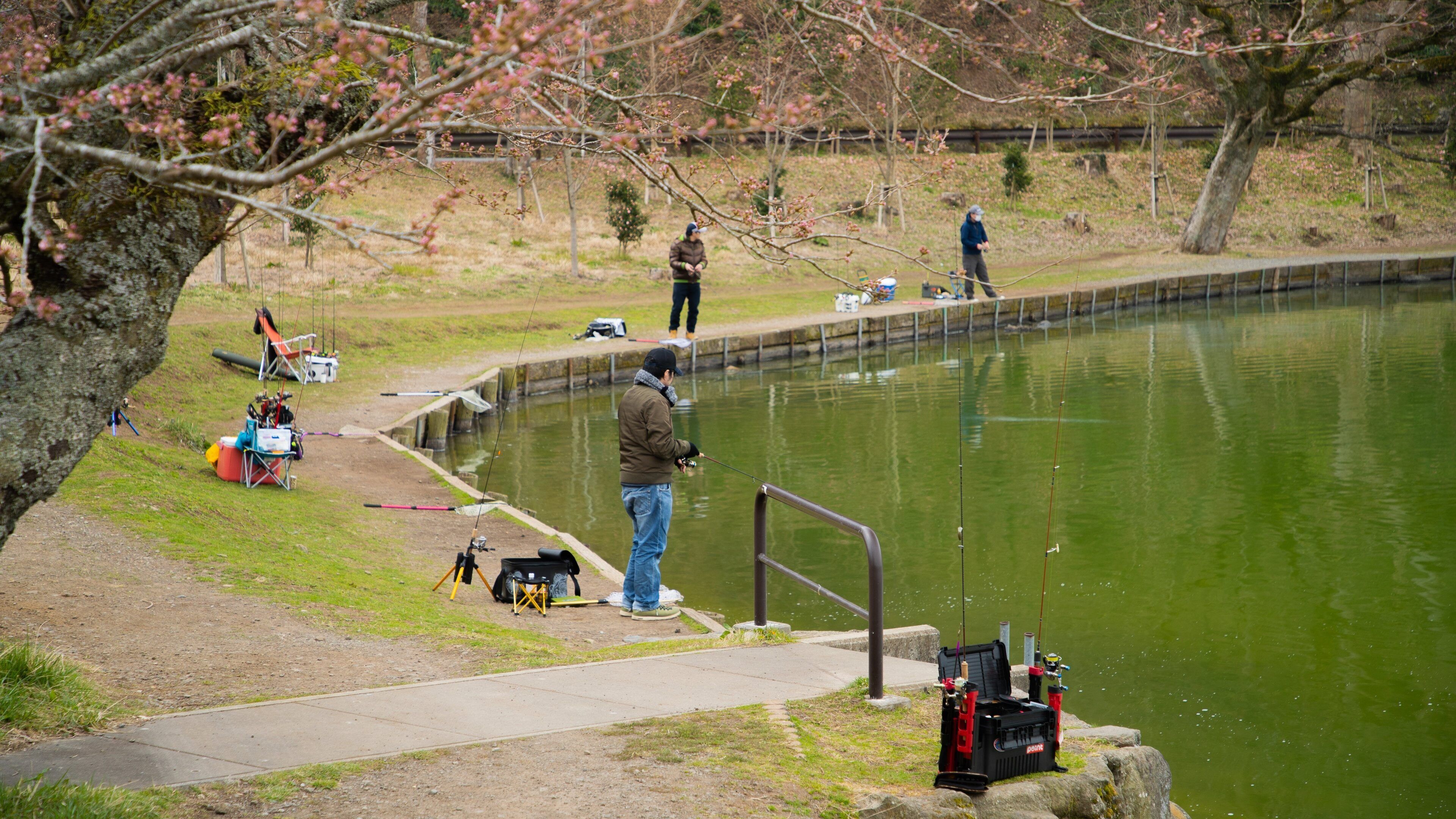 Lake Higashiyama showing a lake or waterhole as well as an individual male