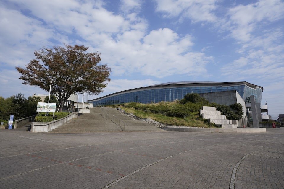 A modern building with a curved glass facade, a large tree, and a set of stairs leading up to it.