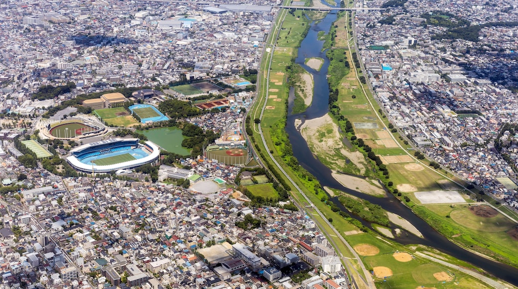 Estadio Atlético Todoroki