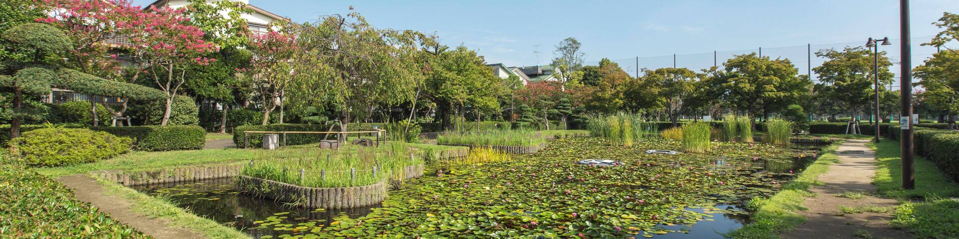 Edogawa_GyosenPark_553248621562274519_04