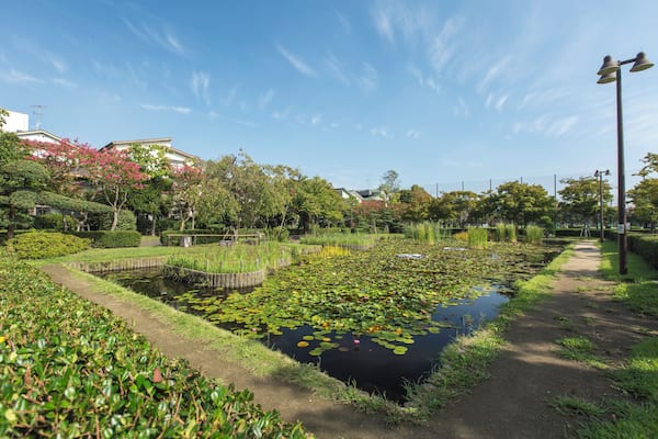 Edogawa_GyosenPark_553248621562274519_04