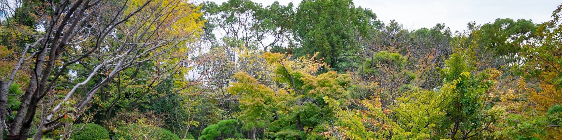 Heisei Garden featuring a garden