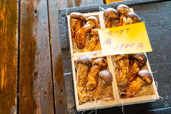 Narita Wholesale Market