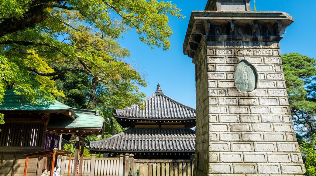 Narita Tourist Pavilion