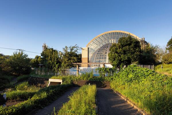 Chiba_KotehashiOnsuiPool_553248621562274714_4