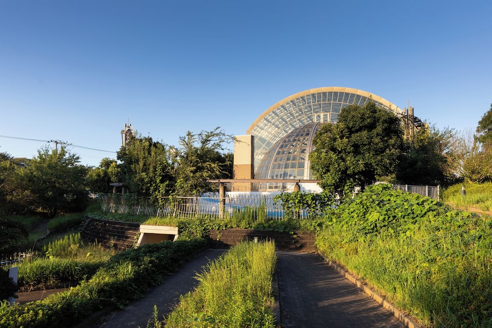 A greenhouse with a curved glass roof, surrounded by lush greenery and a pathway.