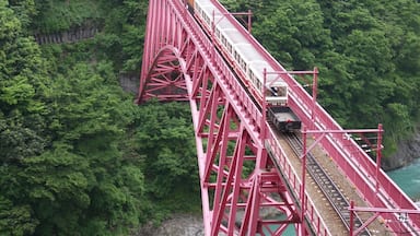 Un pont rouge sur lequel passe un train, surplombant une vallée verdoyante.