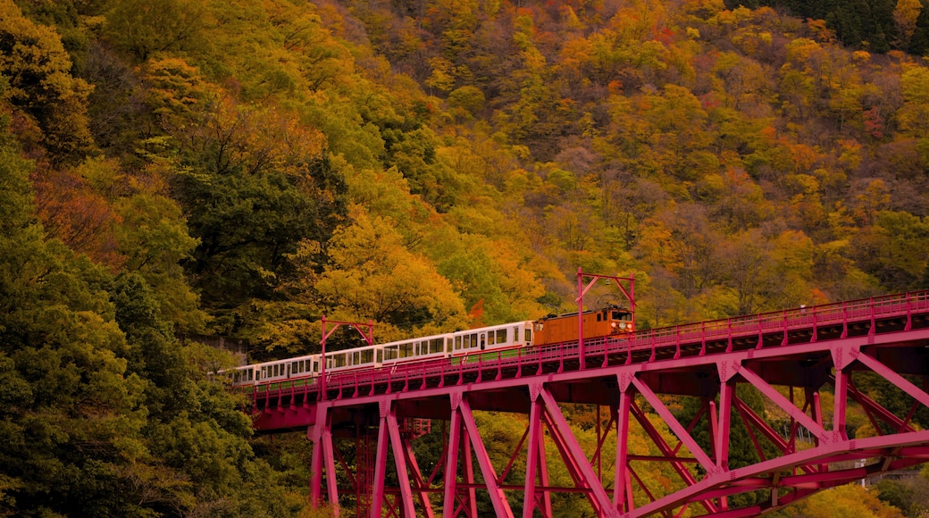 ออนเซ็นอุนาซึกิ