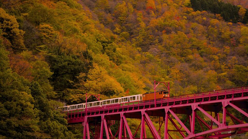 A train on a red bridge amidst a forested hillside.