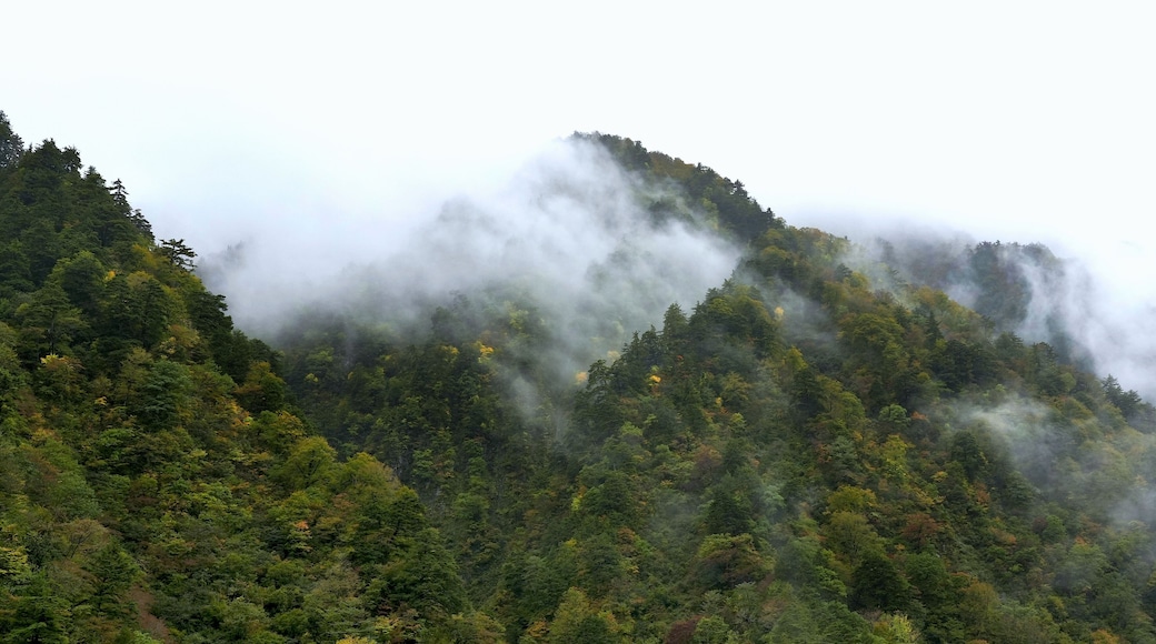 ออนเซ็นอุนาซึกิ