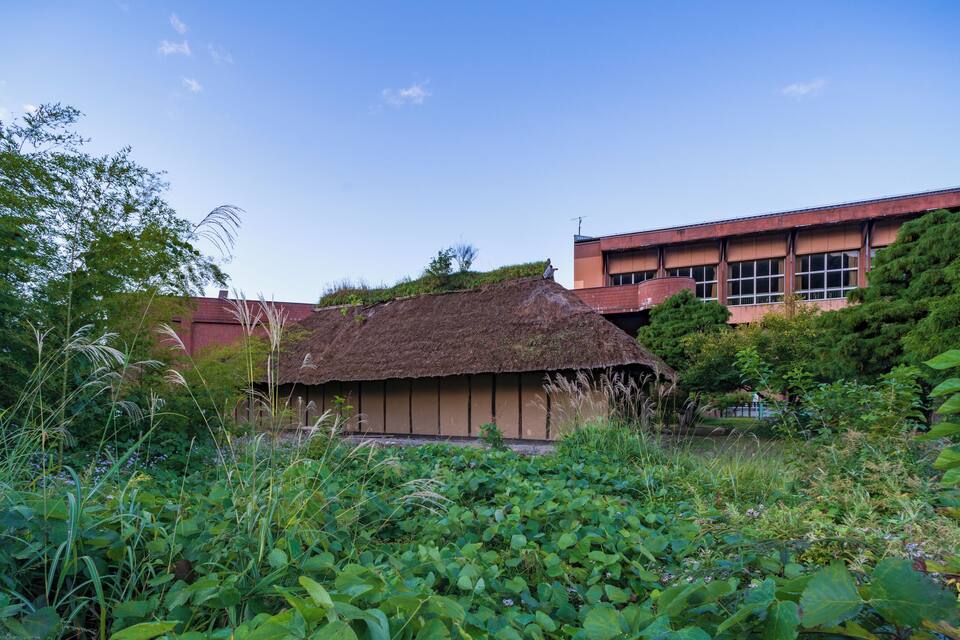 A traditional thatched-roof hut surrounded by lush greenery and a modern building in the background.