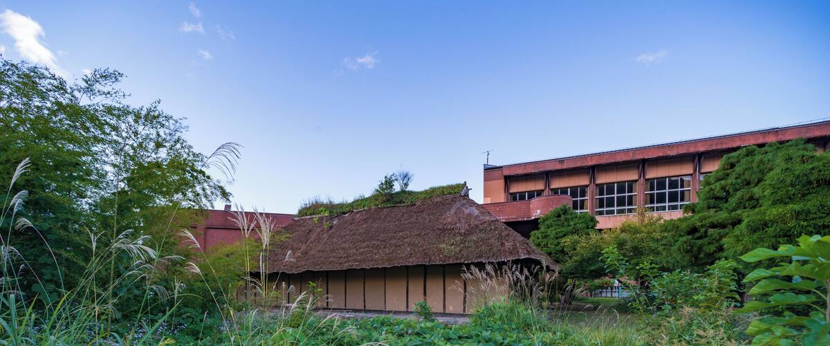 A traditional thatched-roof hut surrounded by lush greenery and a modern building in the background.