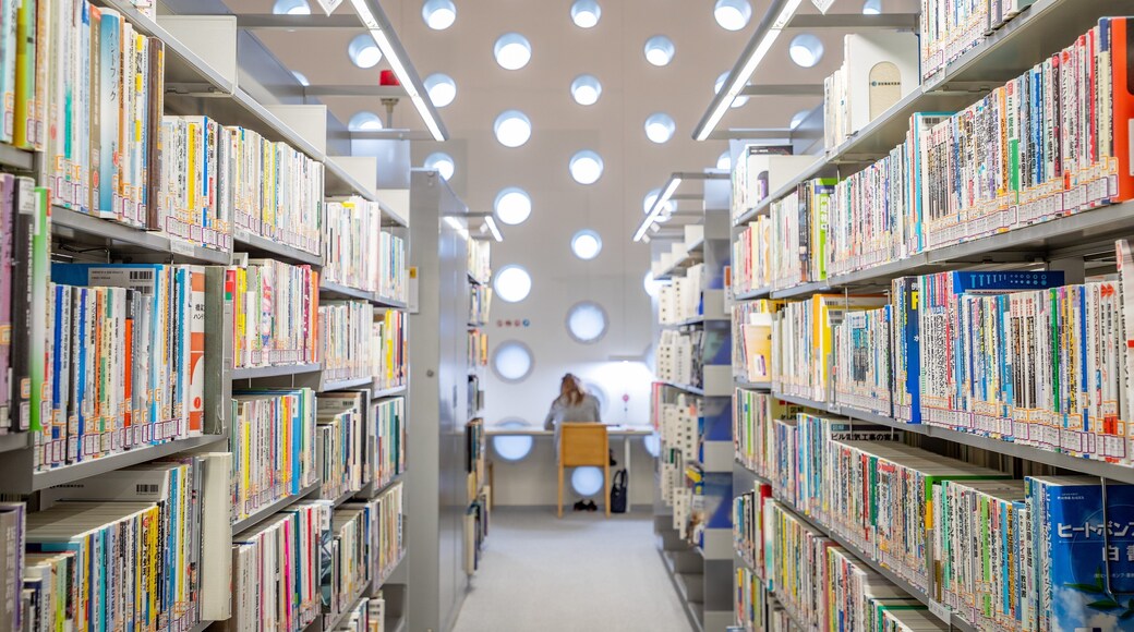 Kanazawa Umimirai Library showing interior views as well as an individual femail