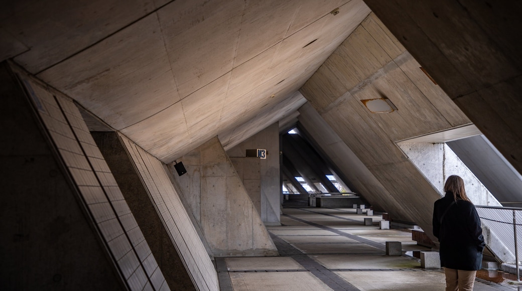 M-Wave Olympic Memorial Arena which includes interior views as well as an individual femail