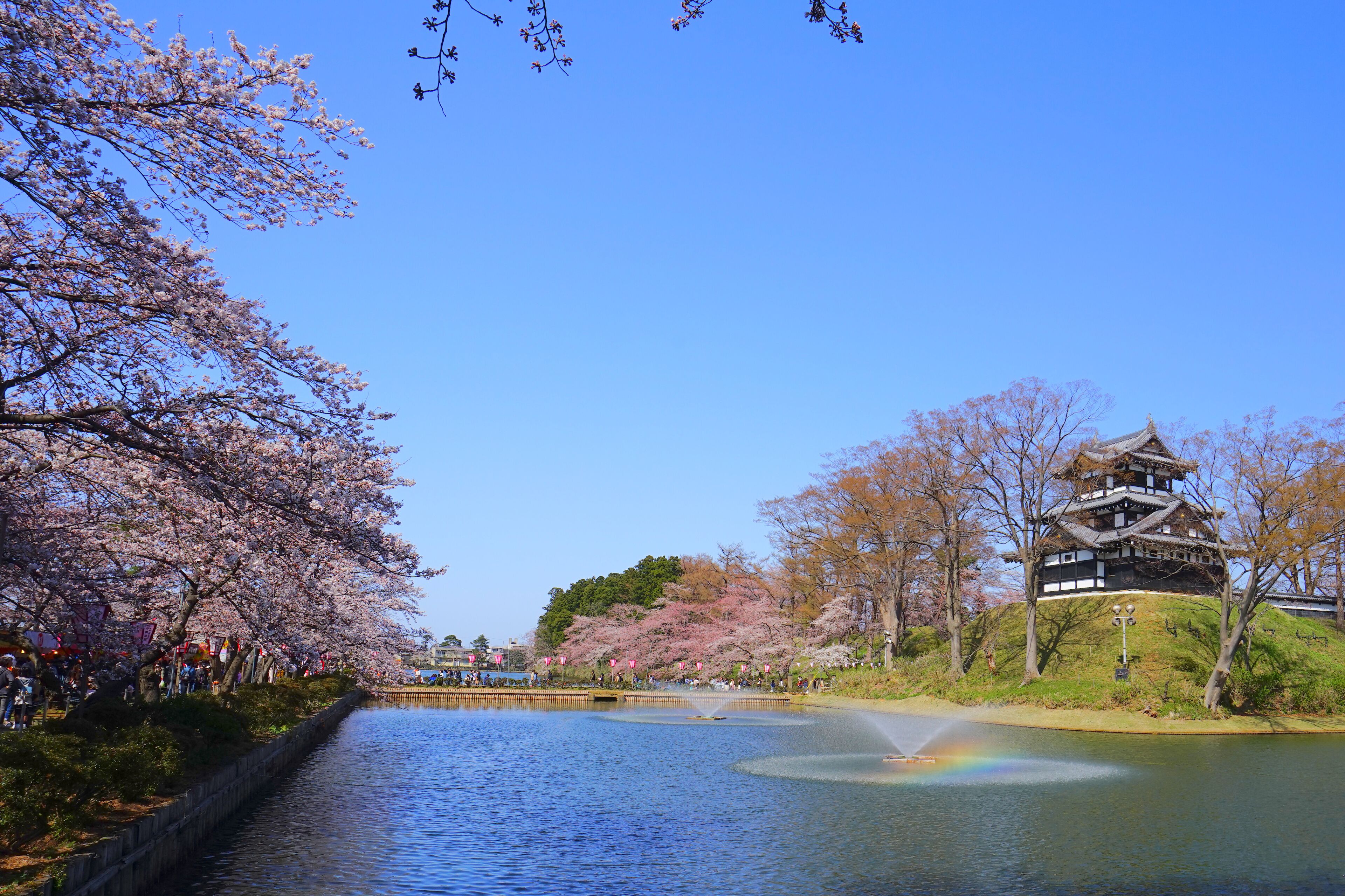 Takada Castle Cherry Blossoms, Joetsu ciry, Niigata, Japan