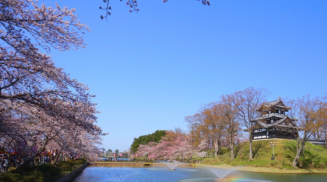 Takada Castle Cherry Blossoms, Joetsu ciry, Niigata, Japan
