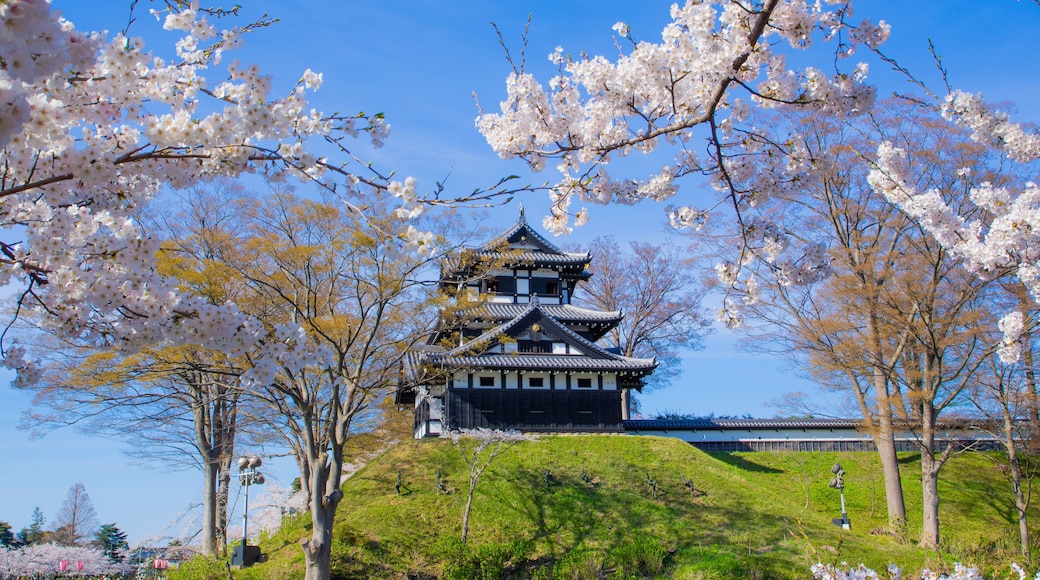 Takada castle in spring with cherry blossam in Niigata