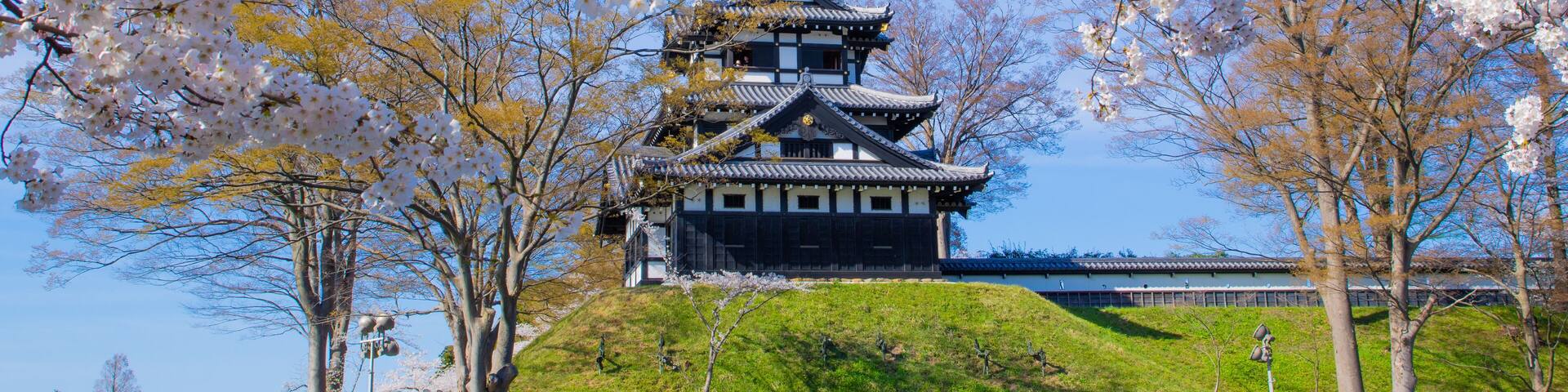 Takada castle in spring with cherry blossam in Niigata