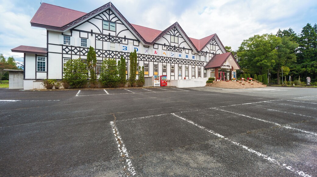 Nasu_Kingham3DFairytaleAquarium_553248621562275305-0115