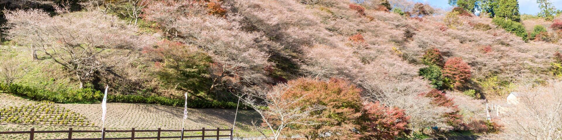 KRWEHG Obara Toyota Nagoya Japan