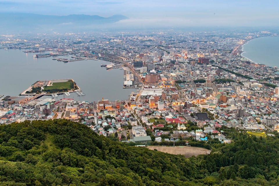 Un paisaje urbano costero con una densa edificación, un puerto deportivo y una colina boscosa al frente.