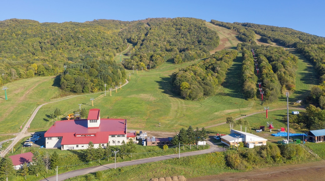 Station de ski Kamui Ski Links