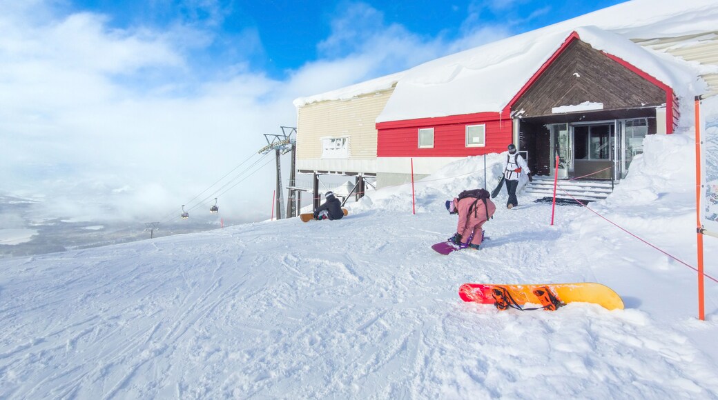 Teleférico Annupuri de Niseko