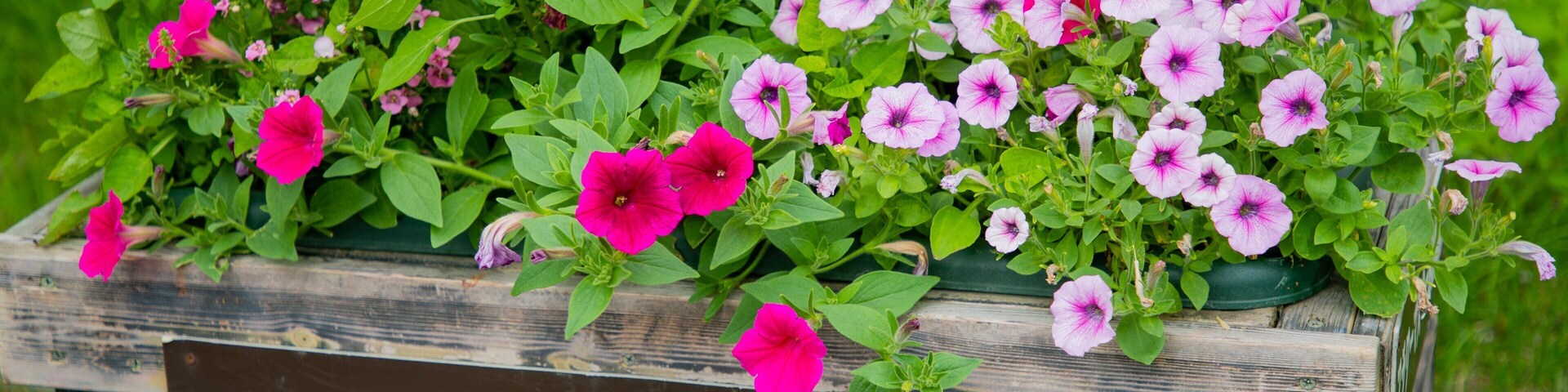 Otaru City General Museum Ungakan