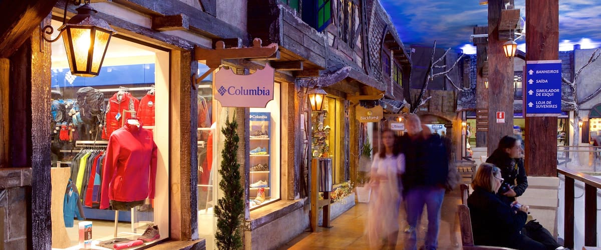 Snowland Park featuring interior views and shopping as well as a small group of people