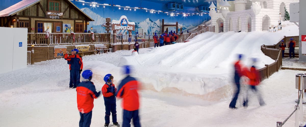 Gramado que incluye llantas inflables para deslizarse por la nieve, nieve y vistas interiores