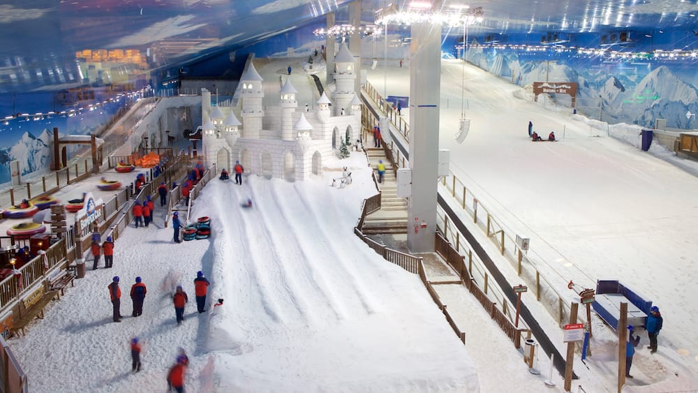 Gramado showing snow and interior views as well as a large group of people