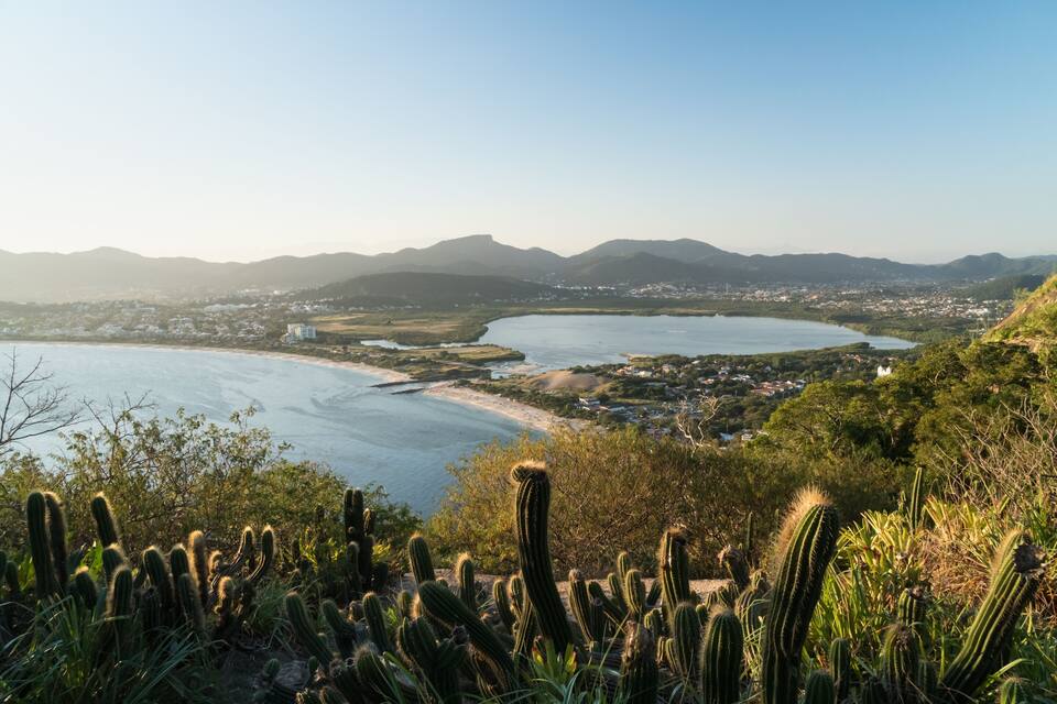 Paisagem costeira com uma vasta extensão de água, uma praia de areia e um conjunto denso de cactos em primeiro plano.