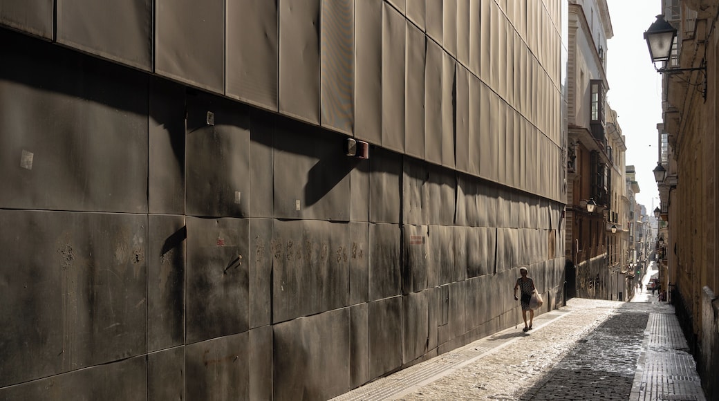 Cadiz_GadirArchaeologicalSite_553248621562484611_05