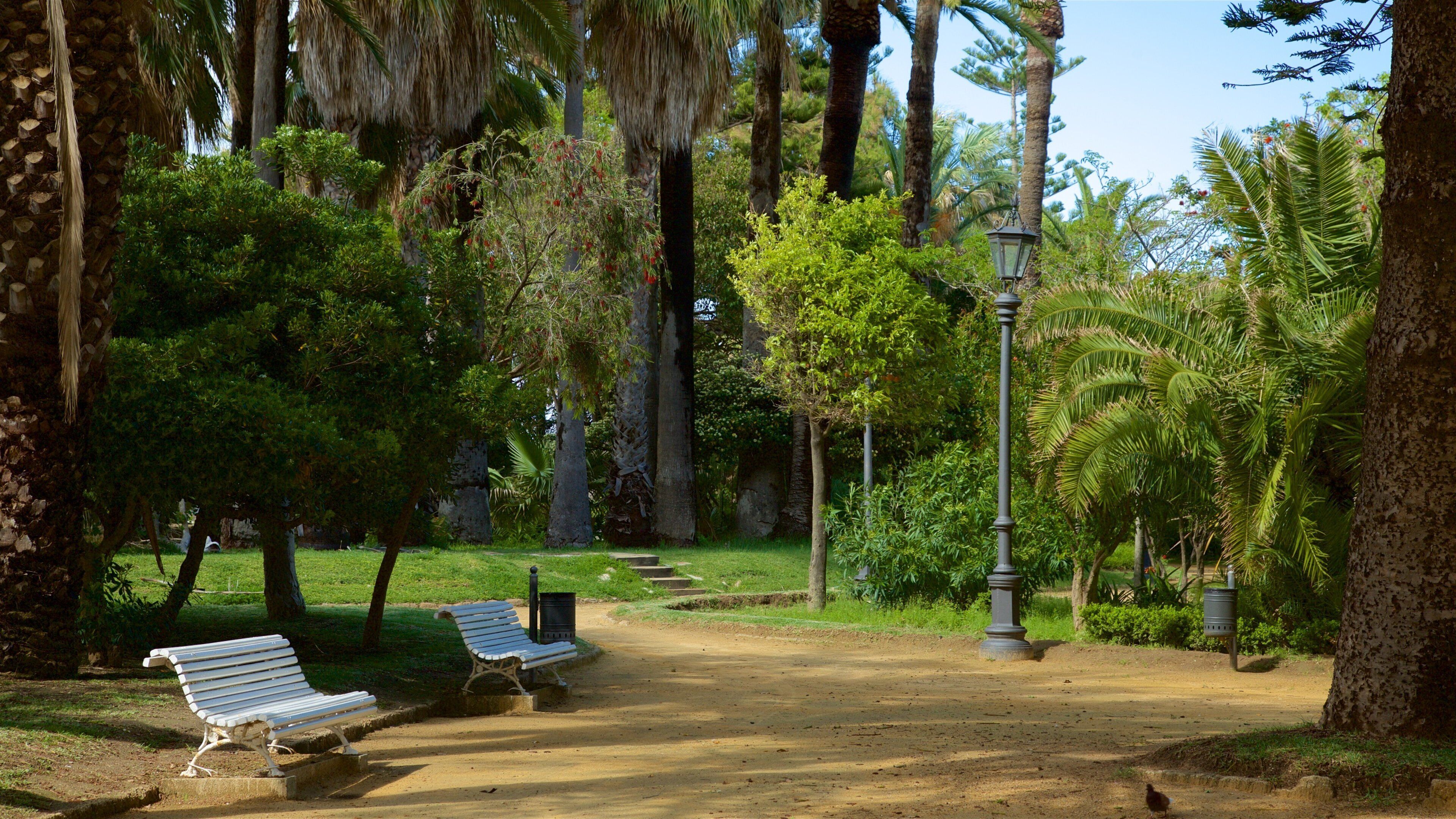 Cádiz mostrando um parque