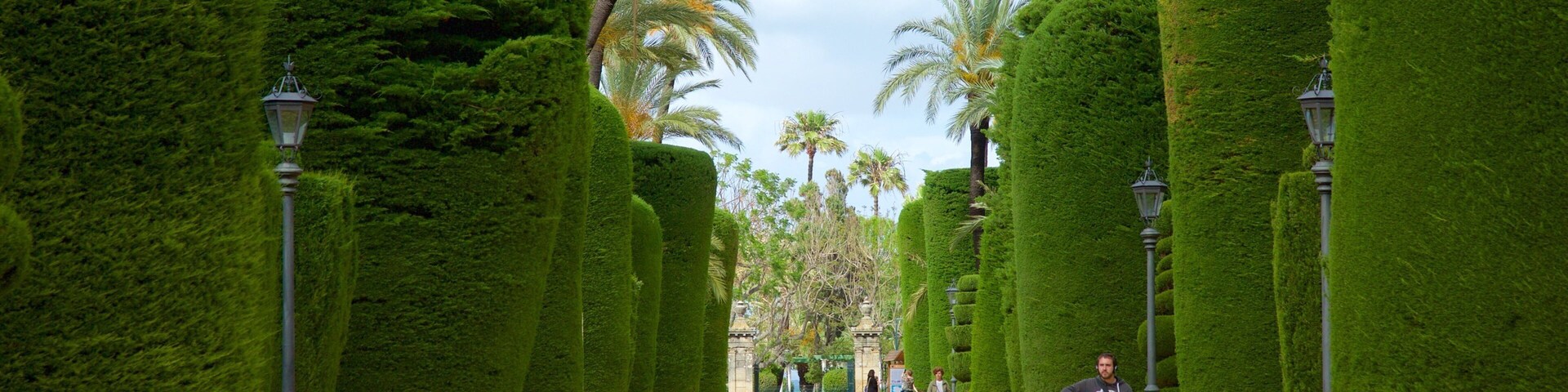 Cadiz which includes a park