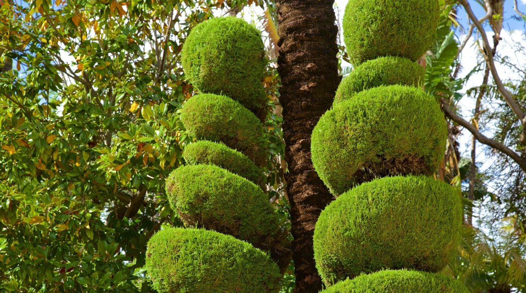Genovés Park showing a park