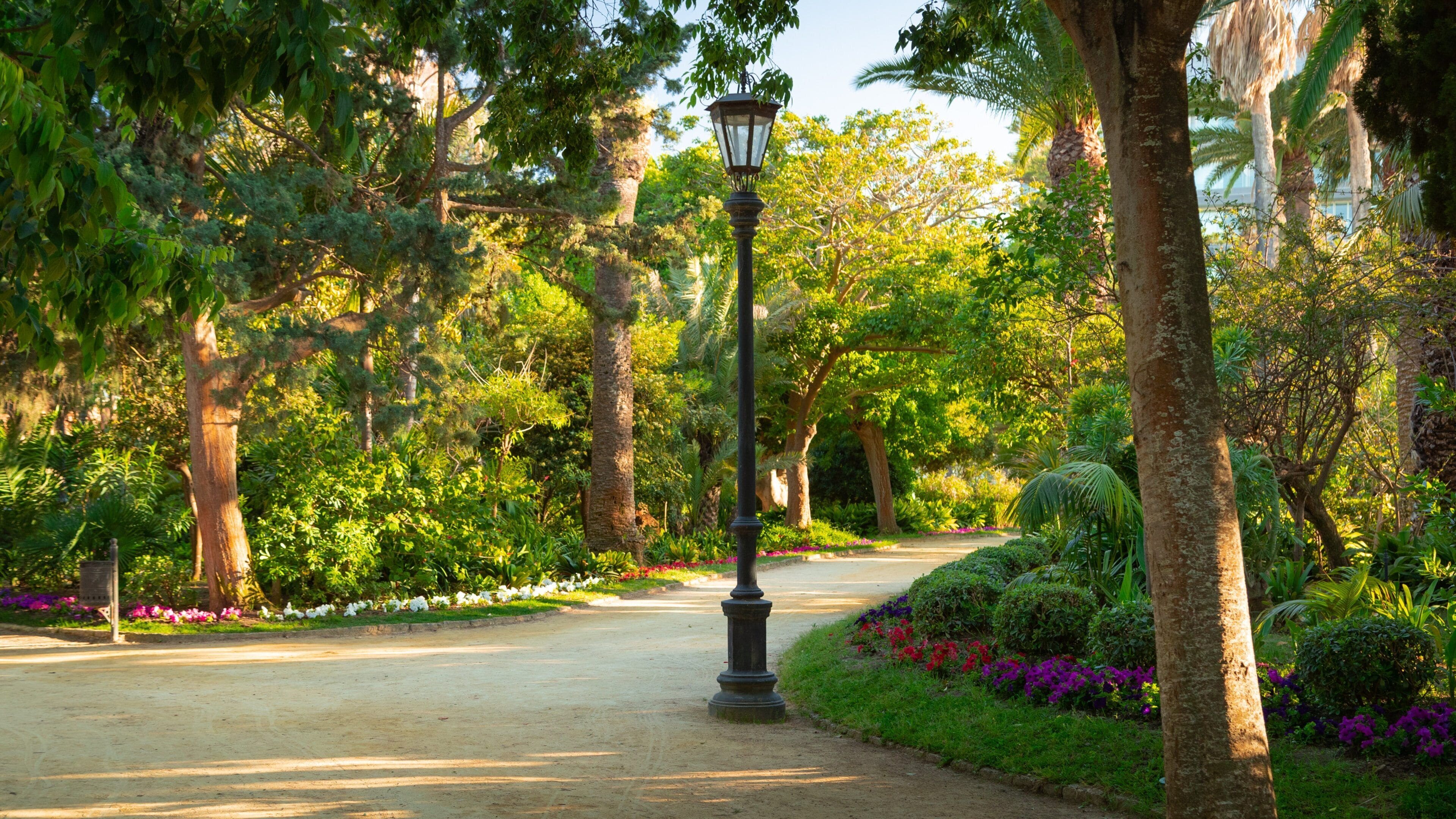Genovés Park showing a park