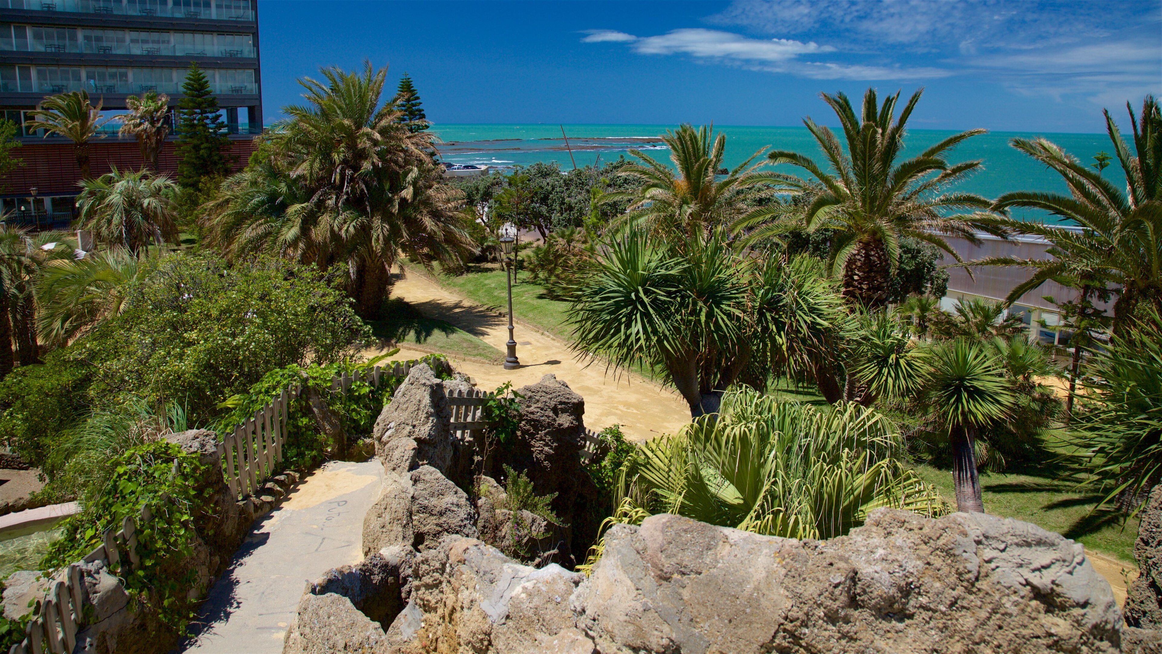 Un paisaje costero con palmeras, un camino de arena y un edificio al fondo.