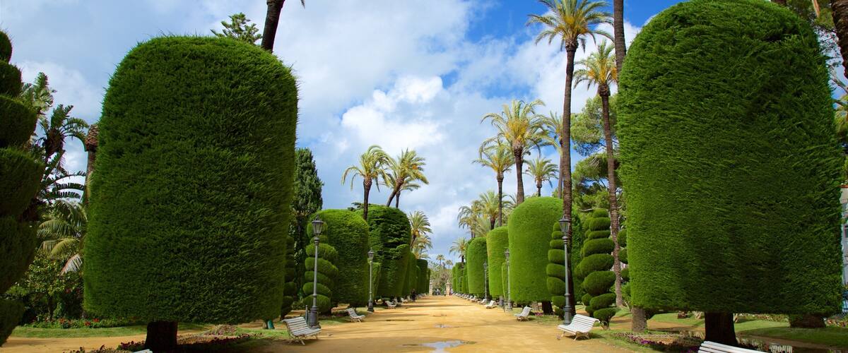 Genovés Park mostrando un jardín