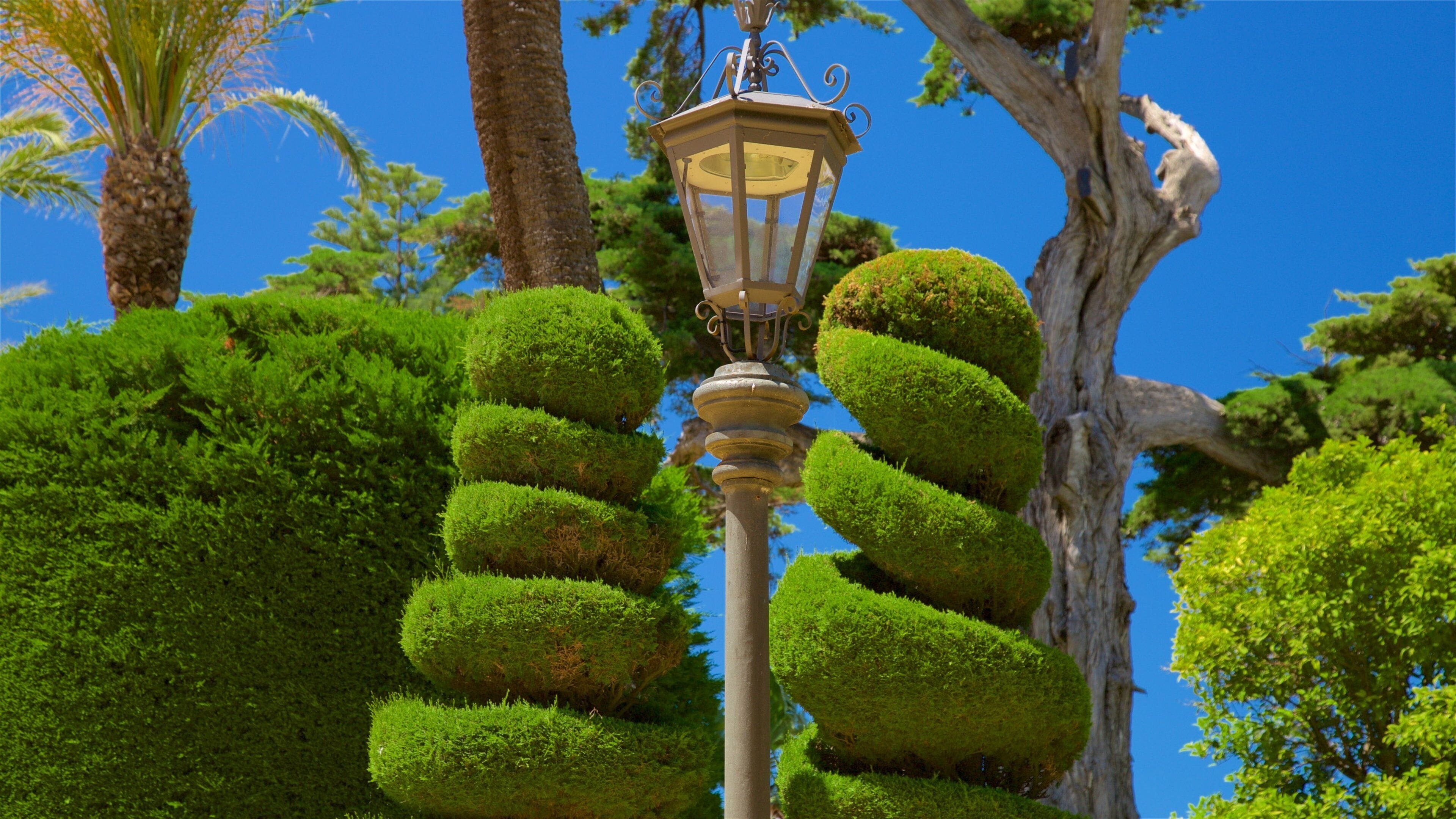 A well-manicured topiary garden with spherical bushes arranged in a spiral pattern around a street lamp.